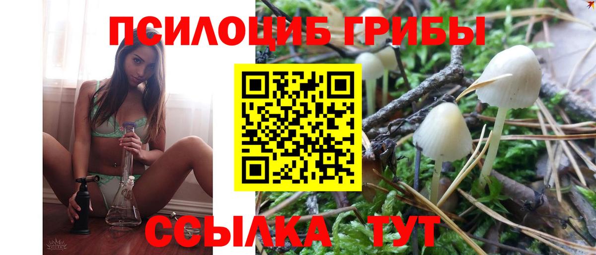 Галлюциногенные грибы мухоморы Александров