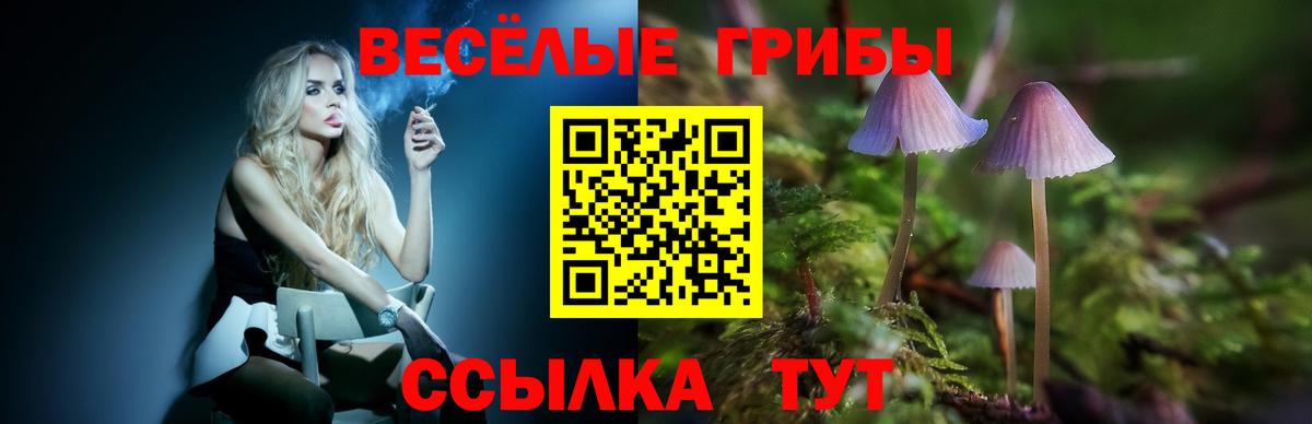 Галлюциногенные грибы GOLDEN TEACHER  Вход с VPN  Александров 